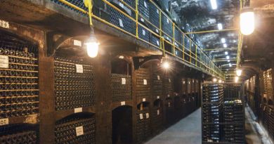 Дегустация в Массандре + Массандровский дворец — фото 13