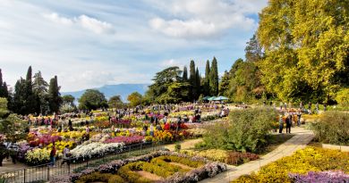 Достопримечательность Никитский ботанический сад