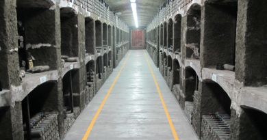 Дегустация в Массандре + Массандровский дворец — фото 17