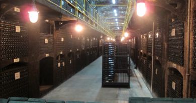Дегустация в Массандре + Массандровский дворец — фото 16