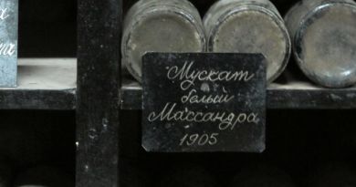 Дегустация вин в Массандре ( винодельческий завод Массандра) — фото 27