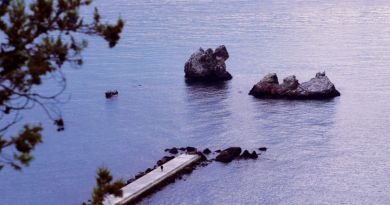 Индивидуальная экскурсия "Имение княгини Гагариной и дворец "Дюльбер" — фото 18