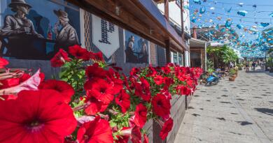 Достопримечательность Город Алупка