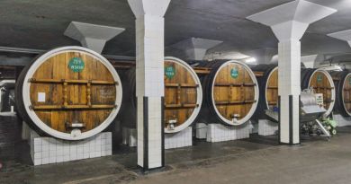 Дегустация вин в Массандре ( винодельческий завод Массандра) — фото 14