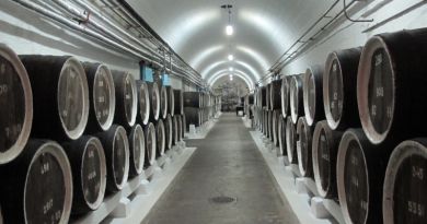 Дегустация вин в Массандре ( винодельческий завод Массандра) — фото 29