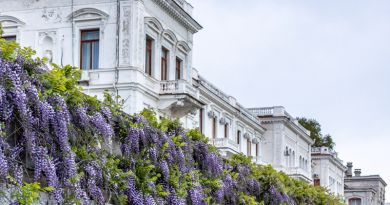 Органный зал в Ливадии  + Экскурсия по парку — фото 5