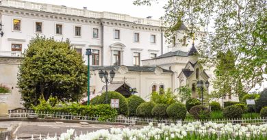 Органный зал в Ливадии  + Экскурсия по парку — фото 3