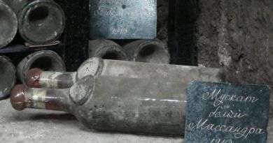 Дегустация вин в Массандре ( винодельческий завод Массандра) — фото 26